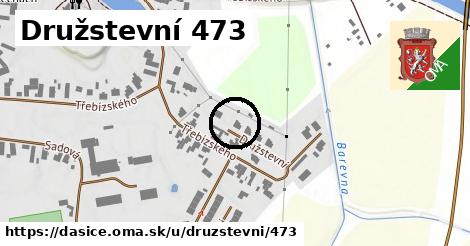 Družstevní 473, Dašice