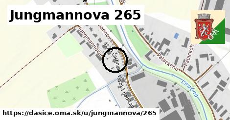 Jungmannova 265, Dašice