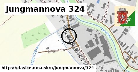 Jungmannova 324, Dašice