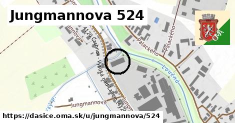 Jungmannova 524, Dašice