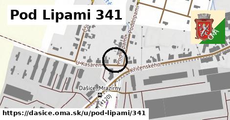 Pod Lipami 341, Dašice