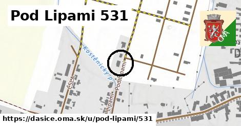 Pod Lipami 531, Dašice