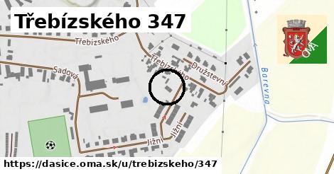 Třebízského 347, Dašice