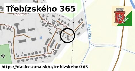 Třebízského 365, Dašice