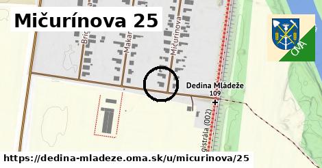 Mičurínova 25, Dedina Mládeže