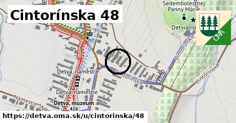 Cintorínska 48, Detva