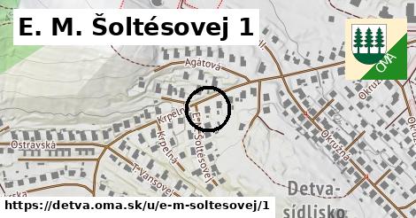 E. M. Šoltésovej 1, Detva