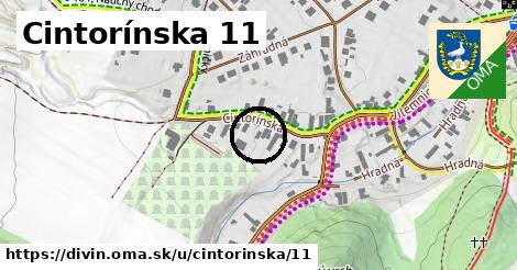 Cintorínska 11, Divín