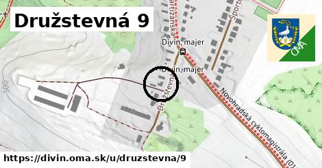 Družstevná 9, Divín