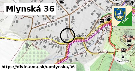 Mlynská 36, Divín