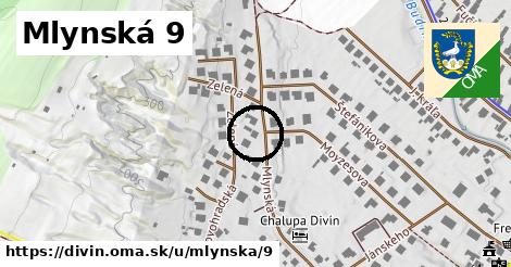 Mlynská 9, Divín