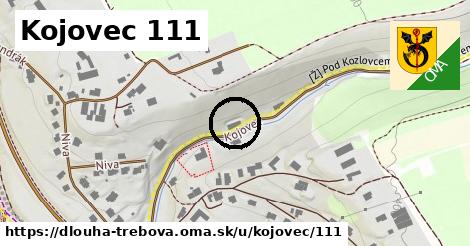 Kojovec 111, Dlouhá Třebová