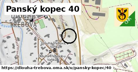 Panský kopec 40, Dlouhá Třebová