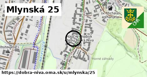 Mlynská 25, Dobrá Niva