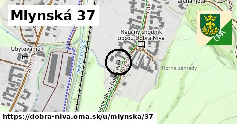 Mlynská 37, Dobrá Niva