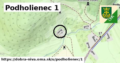 Podholienec 1, Dobrá Niva