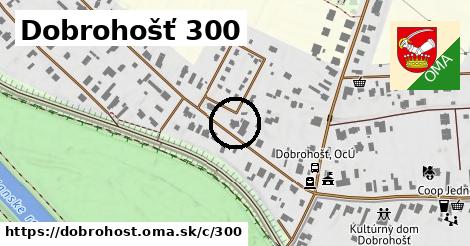 Dobrohošť <span class="supisne">300</span>
