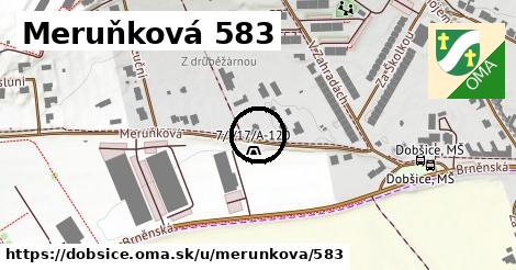 Meruňková 583, Dobšice