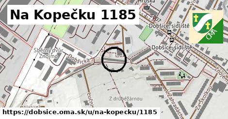 Na Kopečku 1185, Dobšice