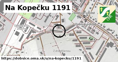 Na Kopečku 1191, Dobšice