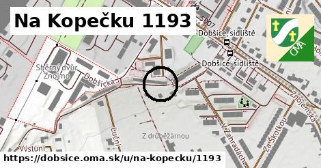 Na Kopečku 1193, Dobšice