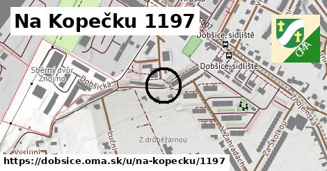 Na Kopečku 1197, Dobšice