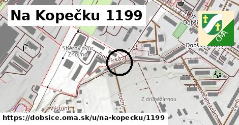 Na Kopečku 1199, Dobšice