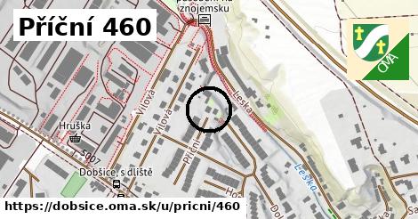 Příční 460, Dobšice