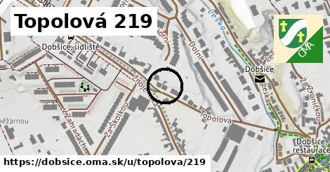 Topolová 219, Dobšice