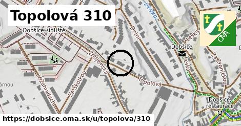 Topolová 310, Dobšice