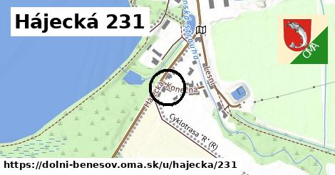 Hájecká 231, Dolní Benešov