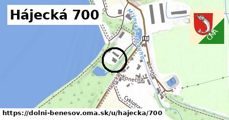 Hájecká 700, Dolní Benešov