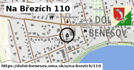 Na Březích 110, Dolní Benešov