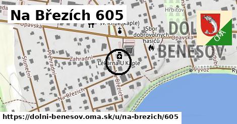 Na Březích 605, Dolní Benešov