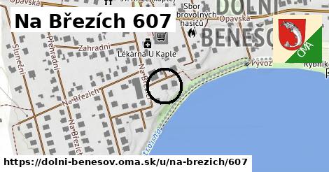 Na Březích 607, Dolní Benešov