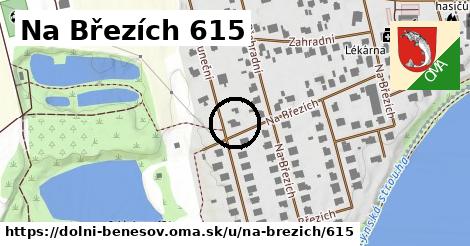 Na Březích 615, Dolní Benešov