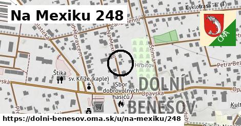 Na Mexiku 248, Dolní Benešov