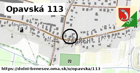Opavská 113, Dolní Benešov