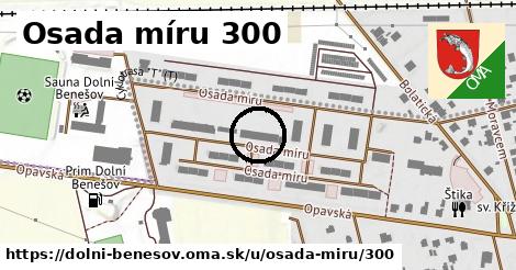 Osada míru 300, Dolní Benešov