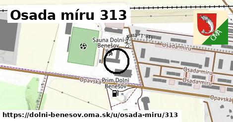 Osada míru 313, Dolní Benešov