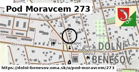 Pod Moravcem 273, Dolní Benešov