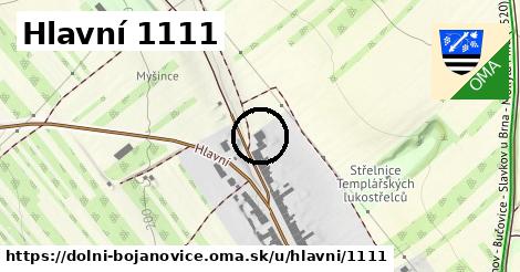 Hlavní 1111, Dolní Bojanovice