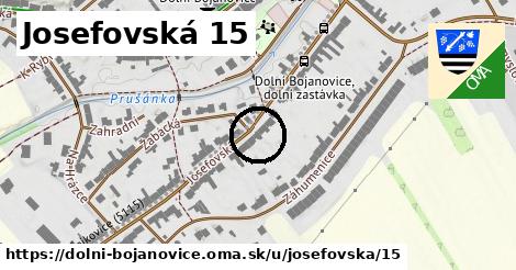 Josefovská 15, Dolní Bojanovice