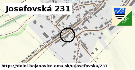 Josefovská 231, Dolní Bojanovice