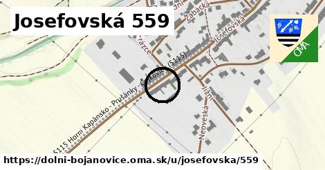 Josefovská 559, Dolní Bojanovice