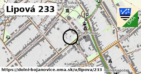 Lipová 233, Dolní Bojanovice