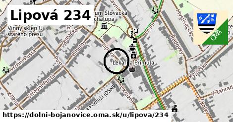 Lipová 234, Dolní Bojanovice