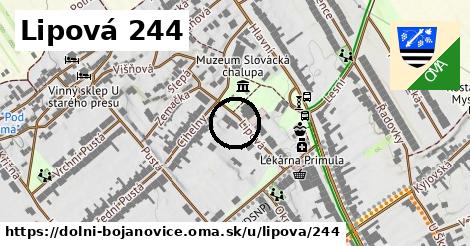 Lipová 244, Dolní Bojanovice