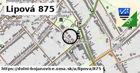 Lipová 875, Dolní Bojanovice