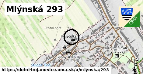 Mlýnská 293, Dolní Bojanovice